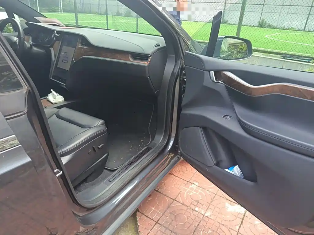 Tesla Model X — фото 18