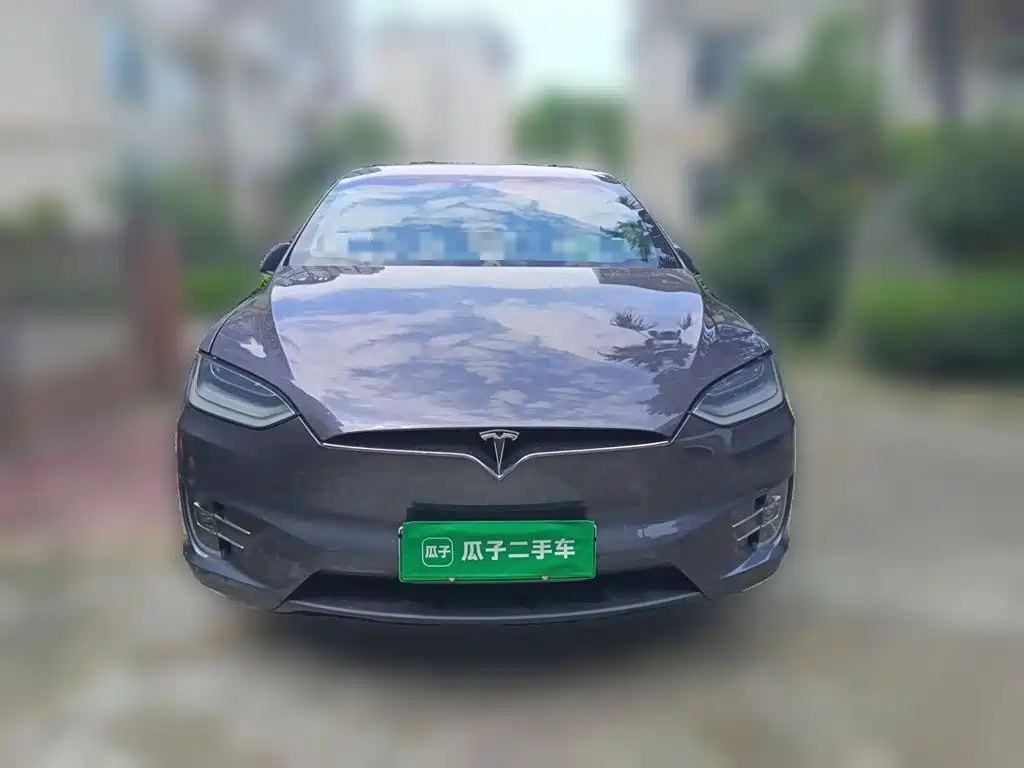 Tesla Model X — фото 23