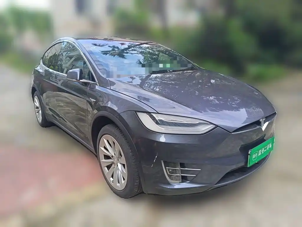 Tesla Model X — фото 24
