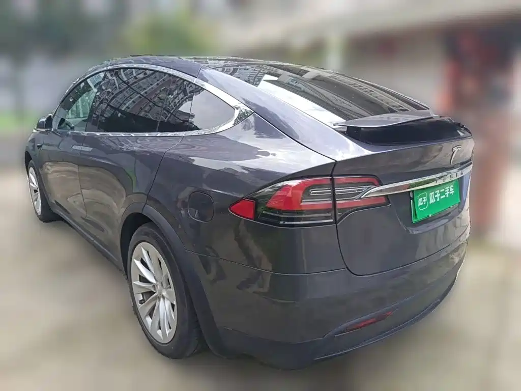 Tesla Model X — фото 25