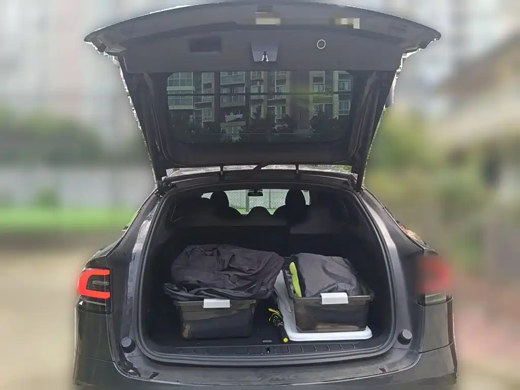 Tesla Model X — фото 10