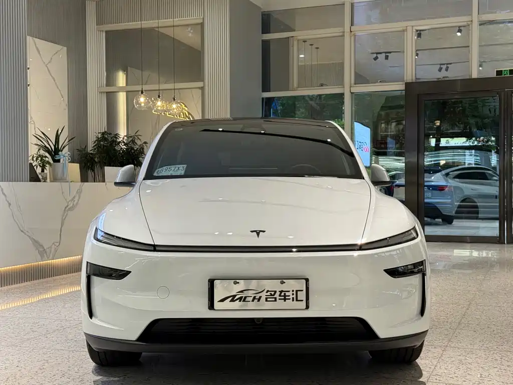 Tesla Model Y — фото 2