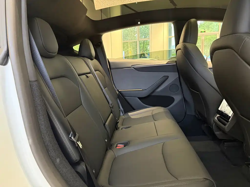 Tesla Model Y — фото 11