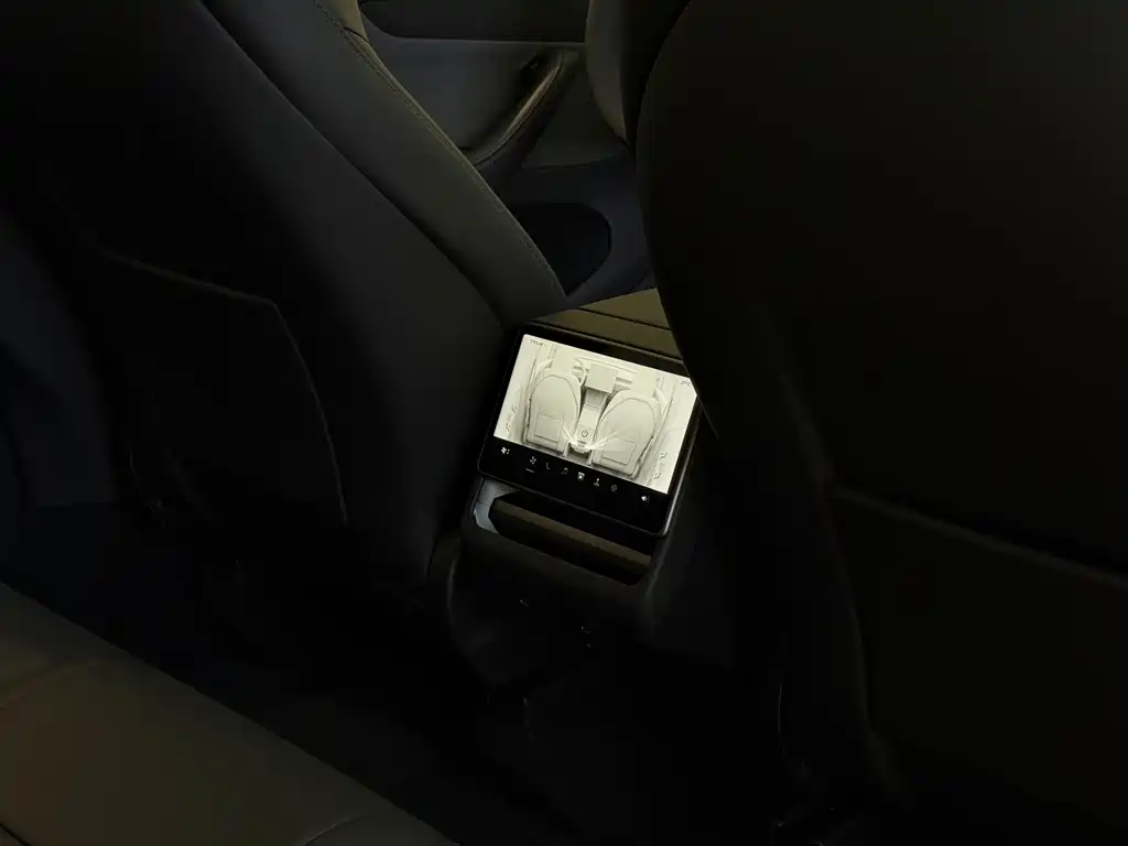 Tesla Model Y — фото 19