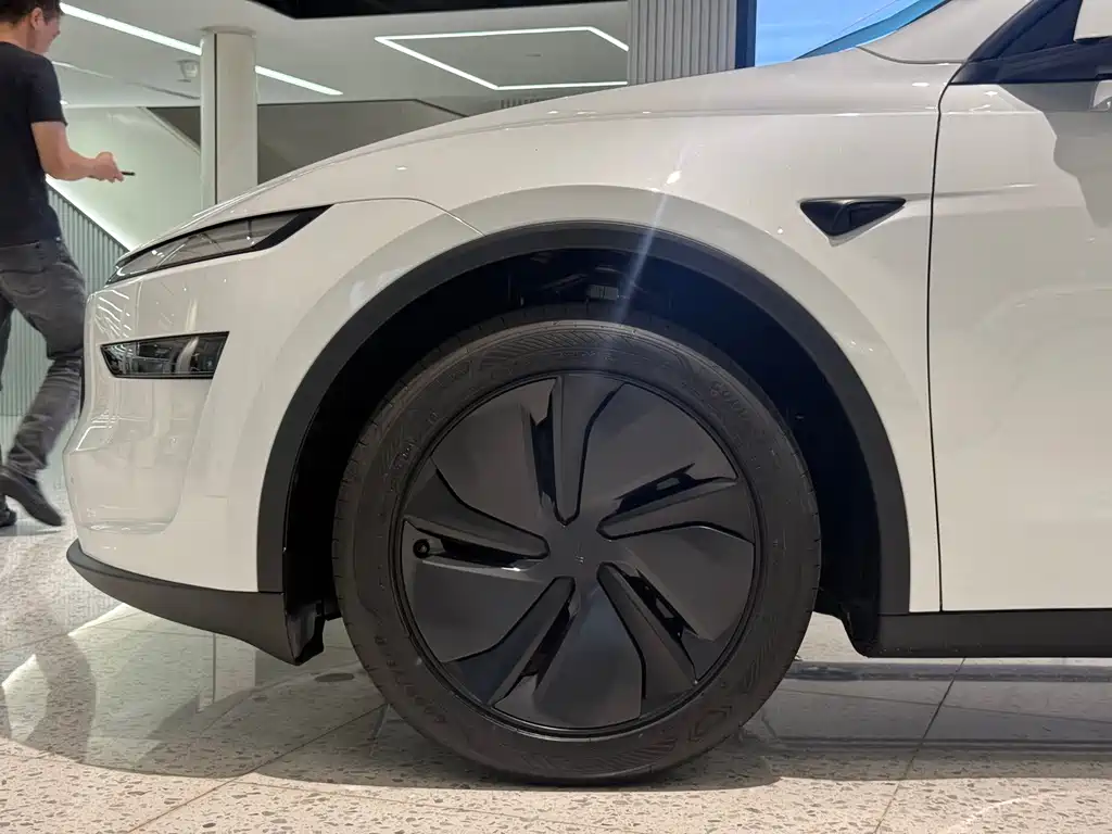 Tesla Model Y — фото 20