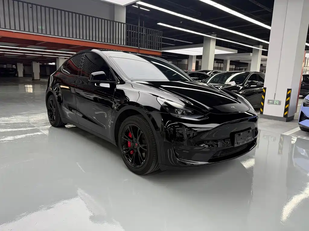 Tesla Model Y — фото 3