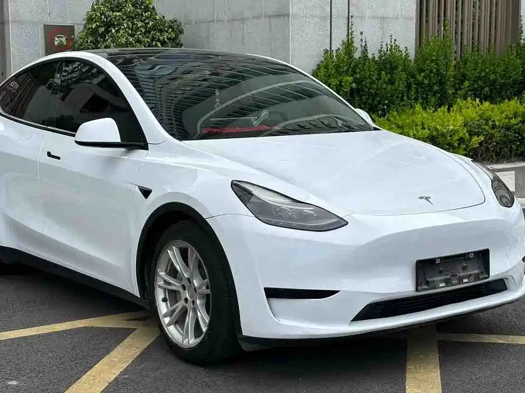 Tesla Model Y — фото 3