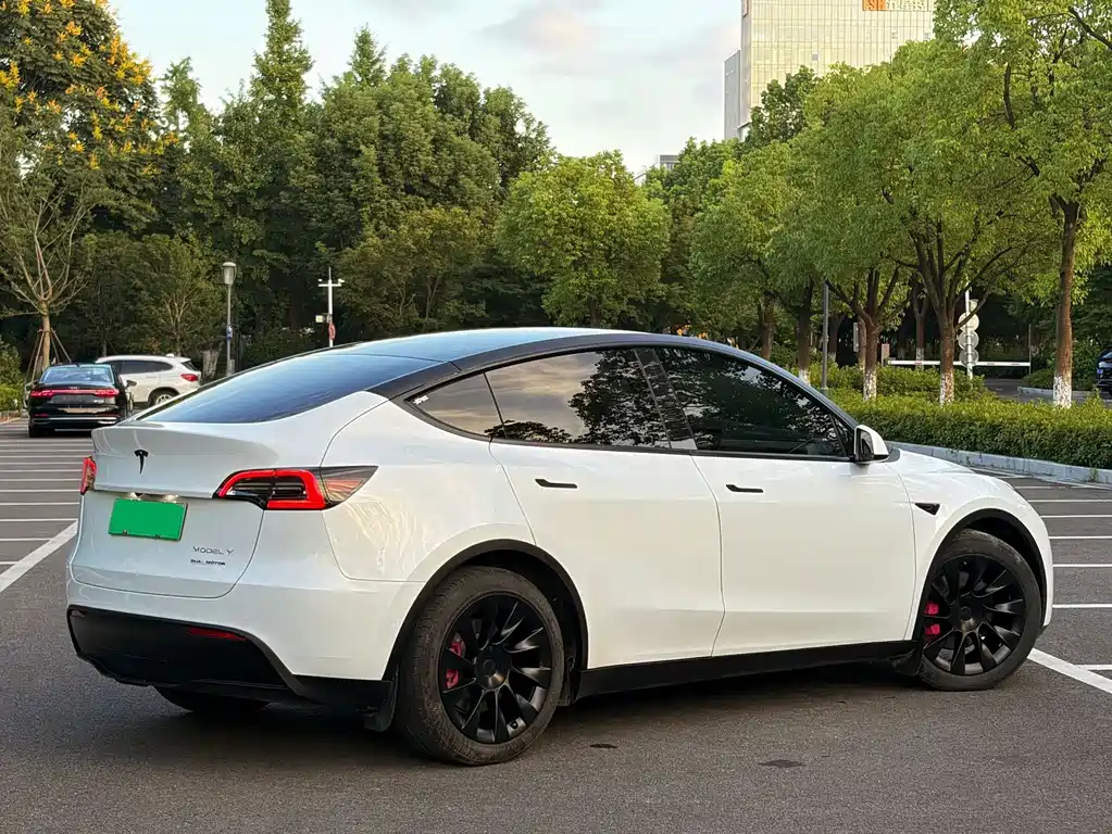 Tesla Model Y — фото 3