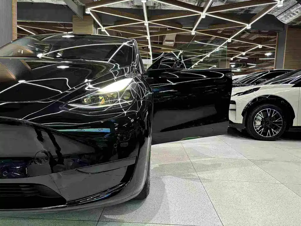 Tesla Model Y — фото 14