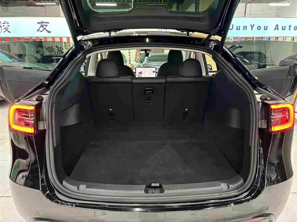 Tesla Model Y — фото 19