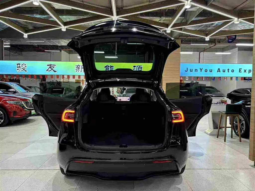 Tesla Model Y — фото 6