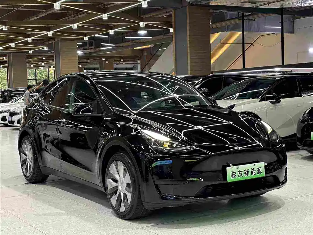 Tesla Model Y — фото 10