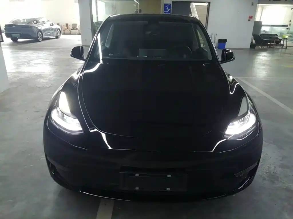 Tesla Model Y — фото 3