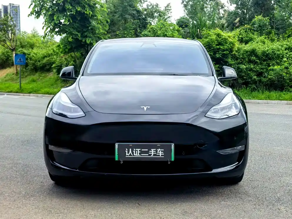 Tesla Model Y — фото 2
