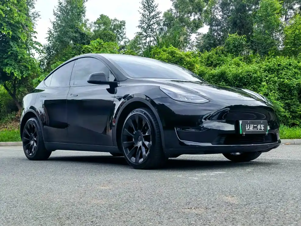 Tesla Model Y — фото 3