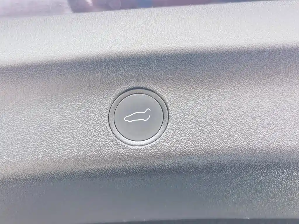 Tesla Model Y — фото 33