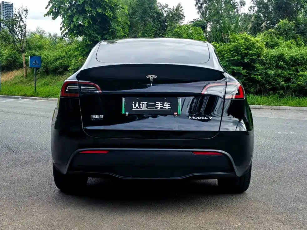 Tesla Model Y — фото 6