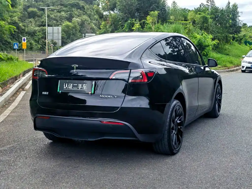 Tesla Model Y — фото 7