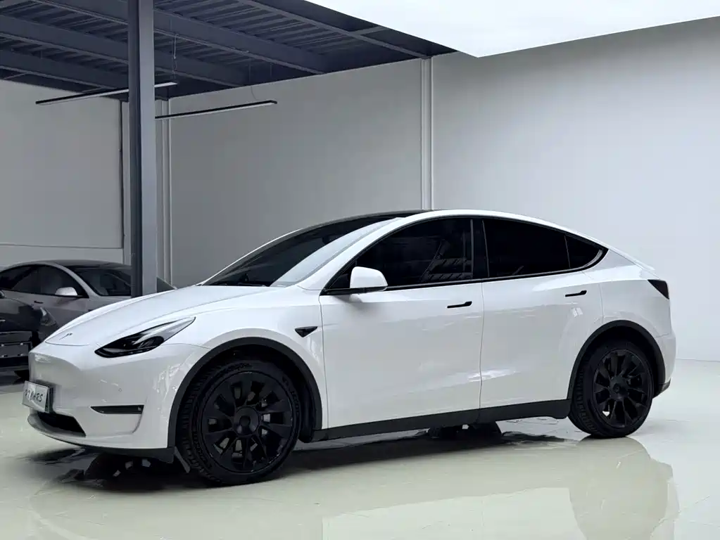 Tesla Model Y — фото 2