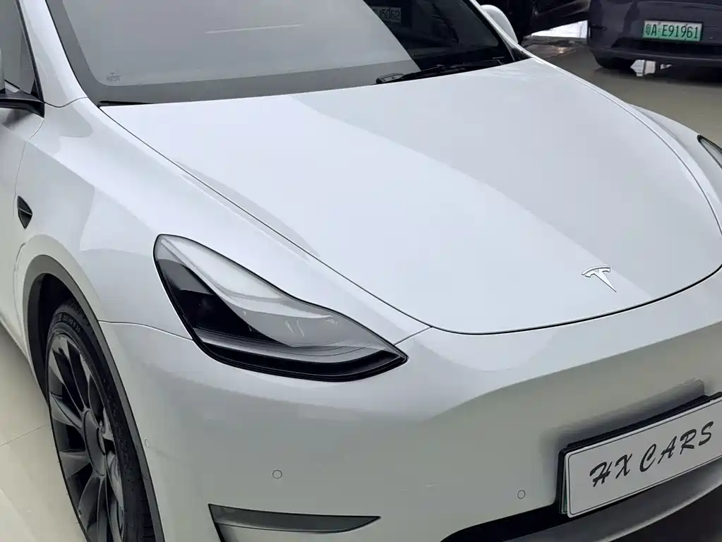 Tesla Model Y — фото 11
