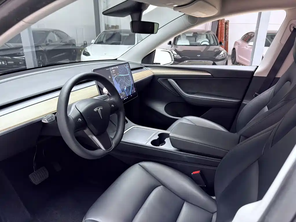 Tesla Model Y — фото 17