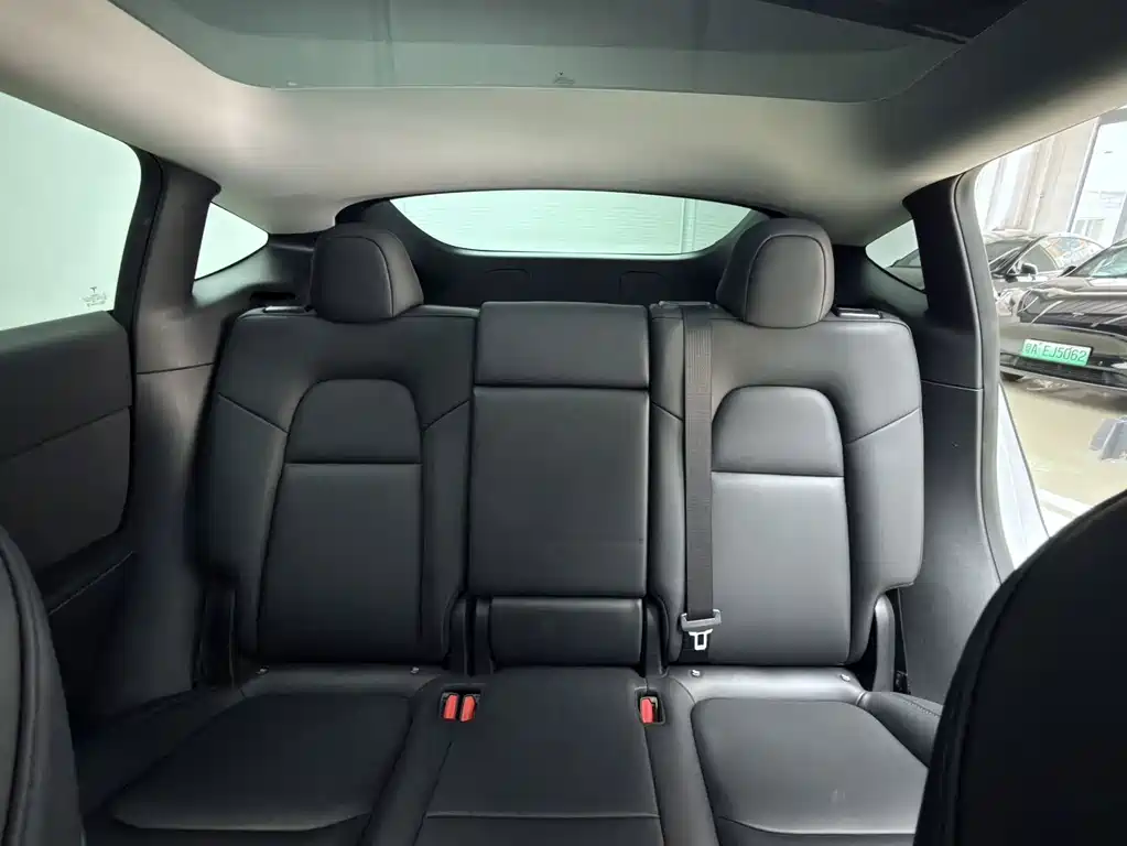 Tesla Model Y — фото 19
