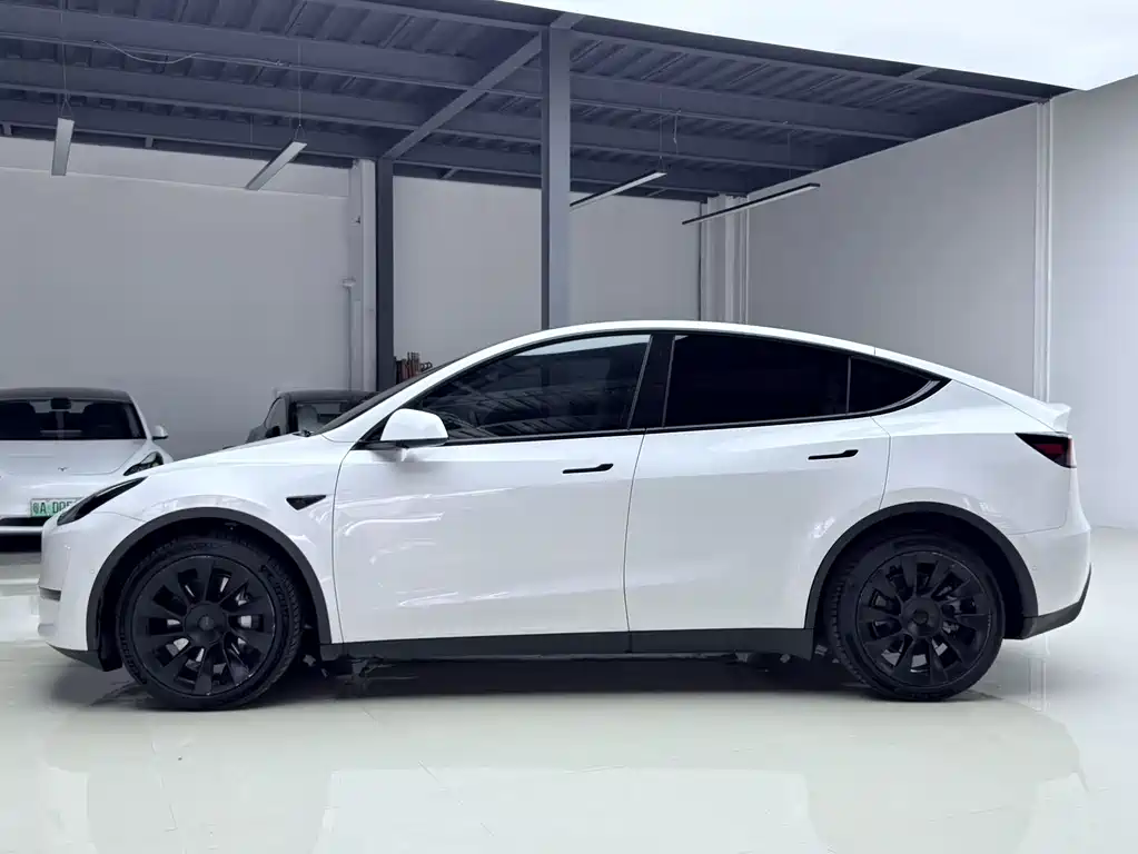 Tesla Model Y — фото 3