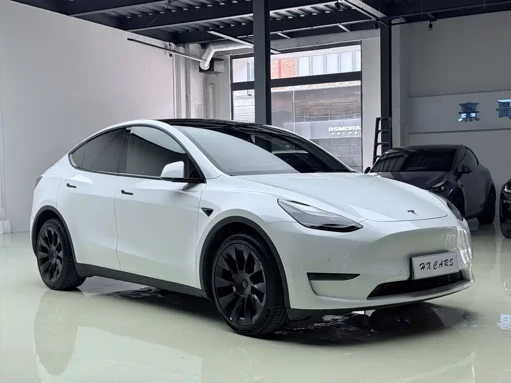 Tesla Model Y — фото 9