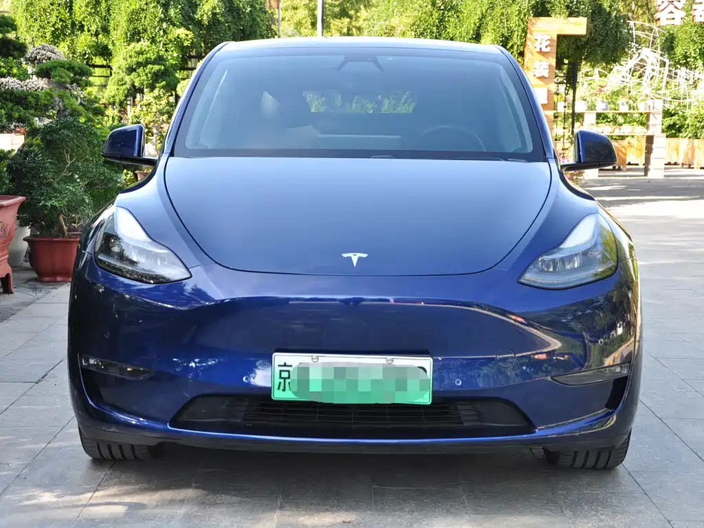 Tesla Model Y — фото 2