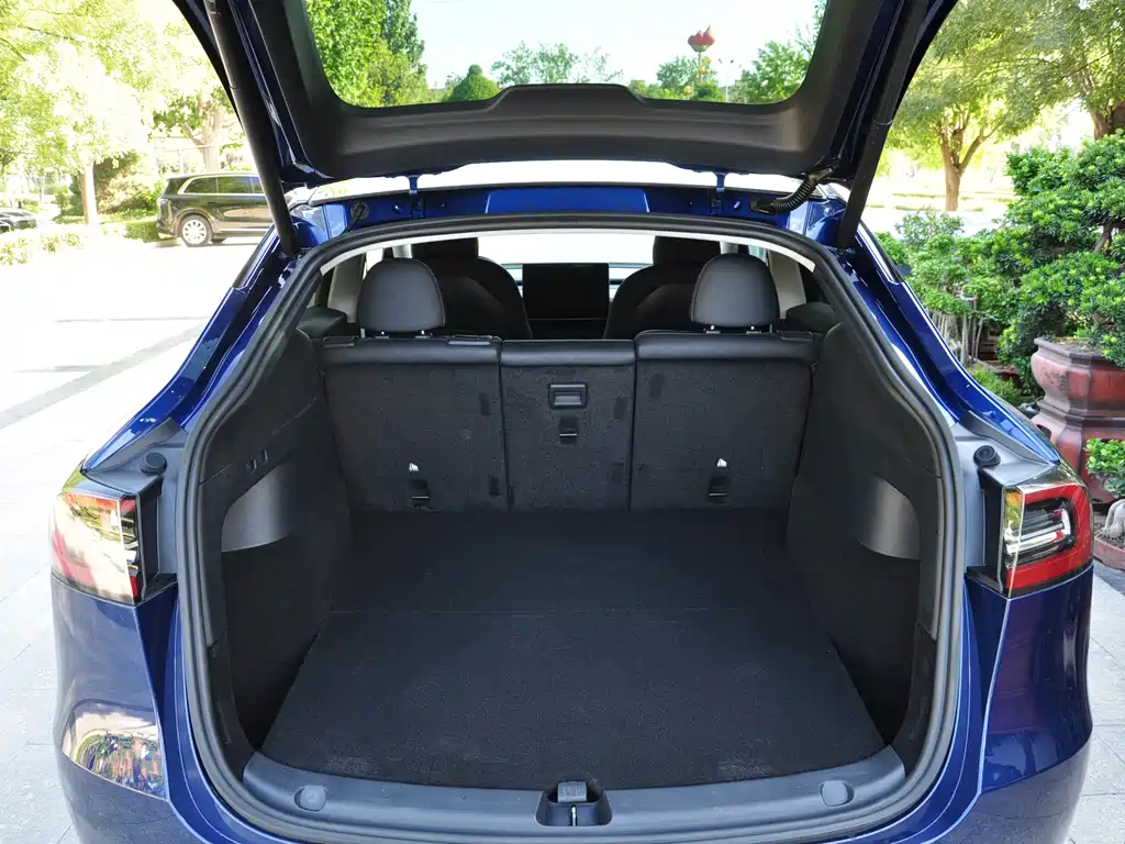 Tesla Model Y — фото 11