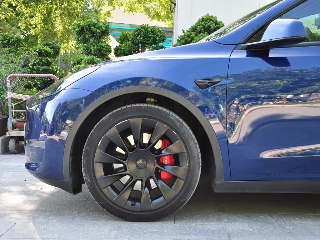 Tesla Model Y — фото 12