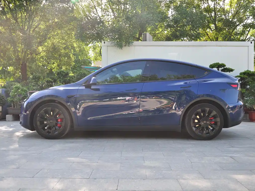 Tesla Model Y — фото 3