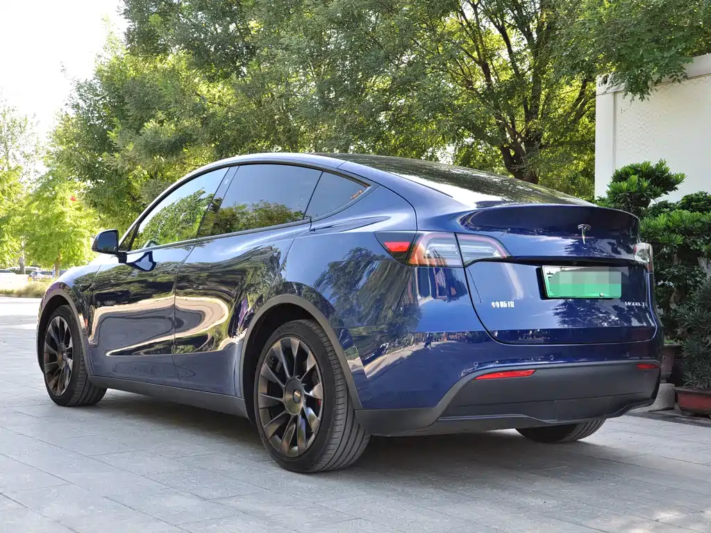 Tesla Model Y — фото 4