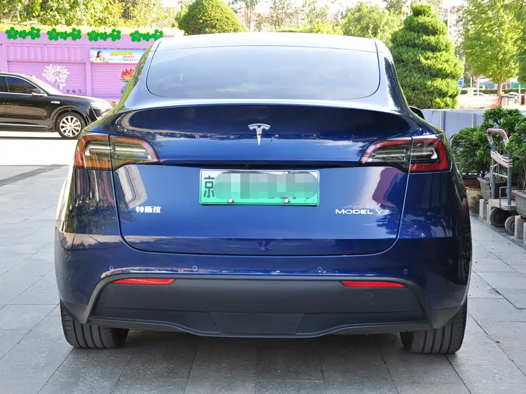 Tesla Model Y — фото 5