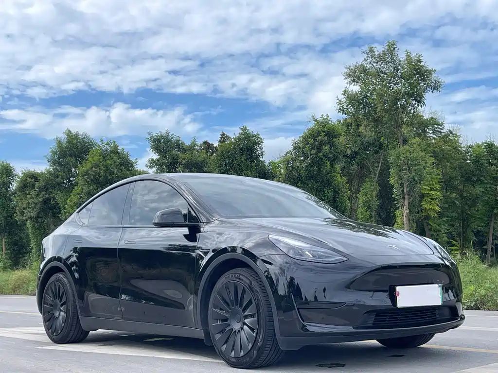 Tesla Model Y — фото 3