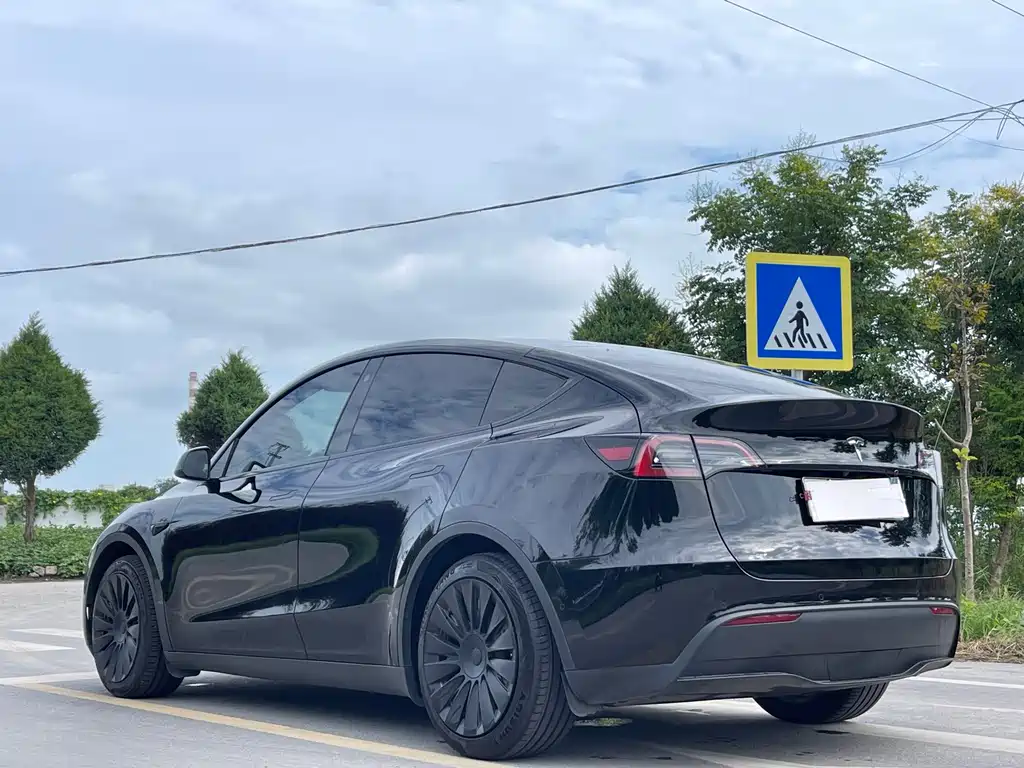 Tesla Model Y — фото 5