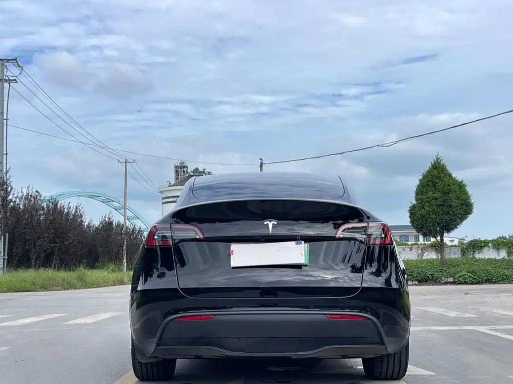 Tesla Model Y — фото 6
