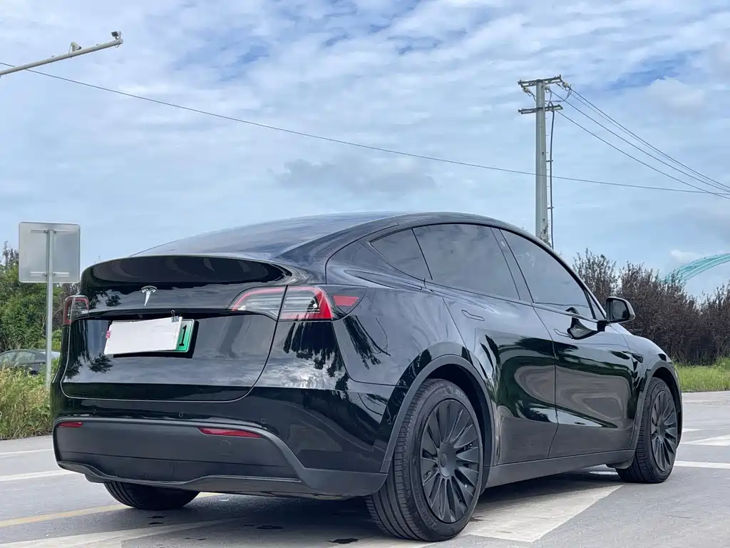 Tesla Model Y — фото 7