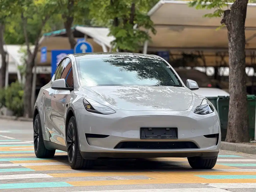 Tesla Model Y — фото 3