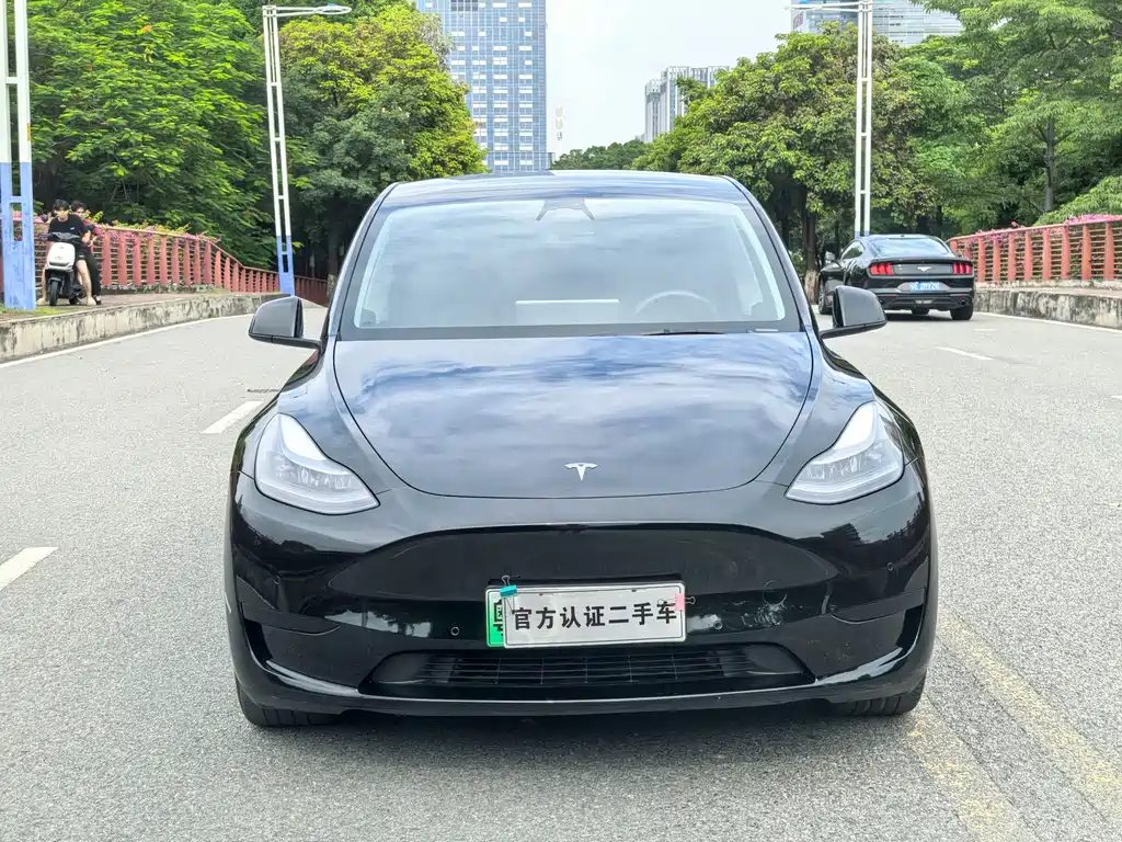 Tesla Model Y — фото 2