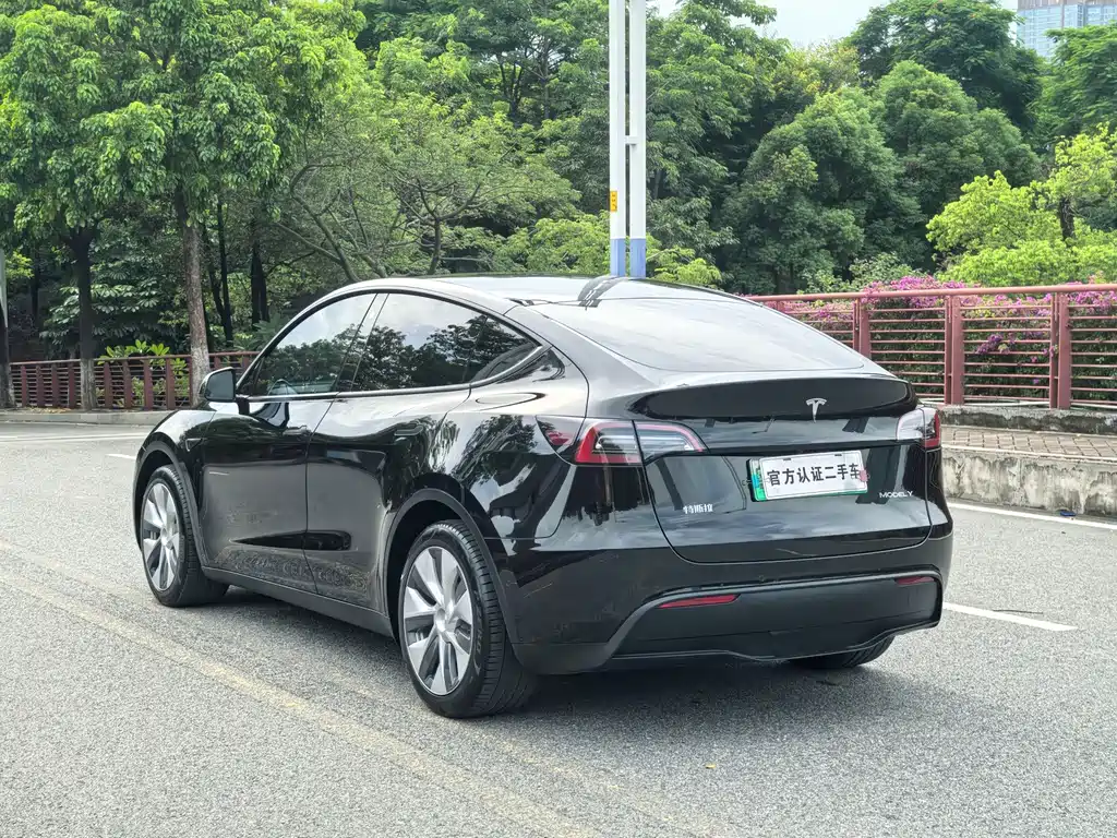 Tesla Model Y — фото 16