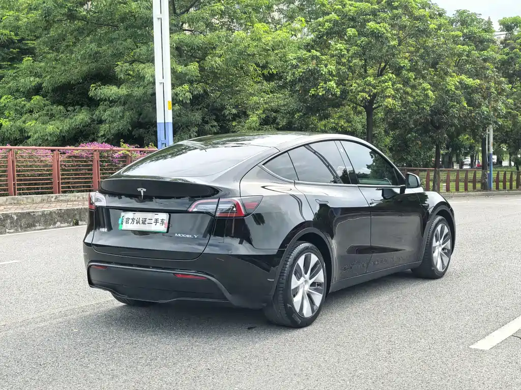Tesla Model Y — фото 18