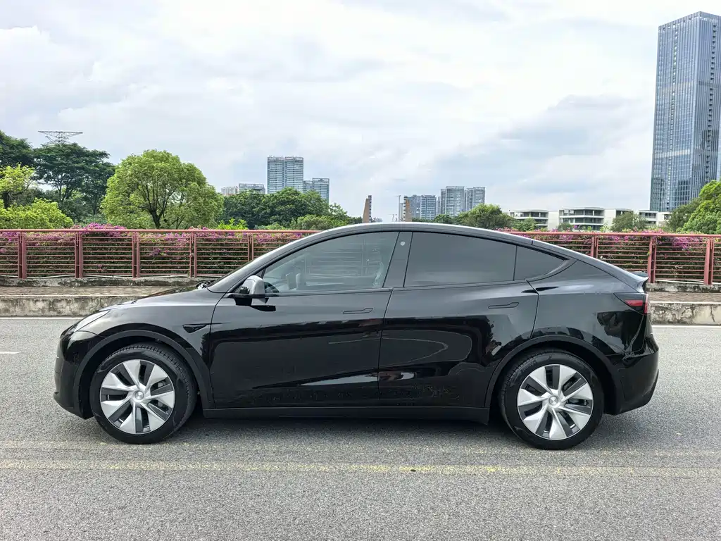 Tesla Model Y — фото 19