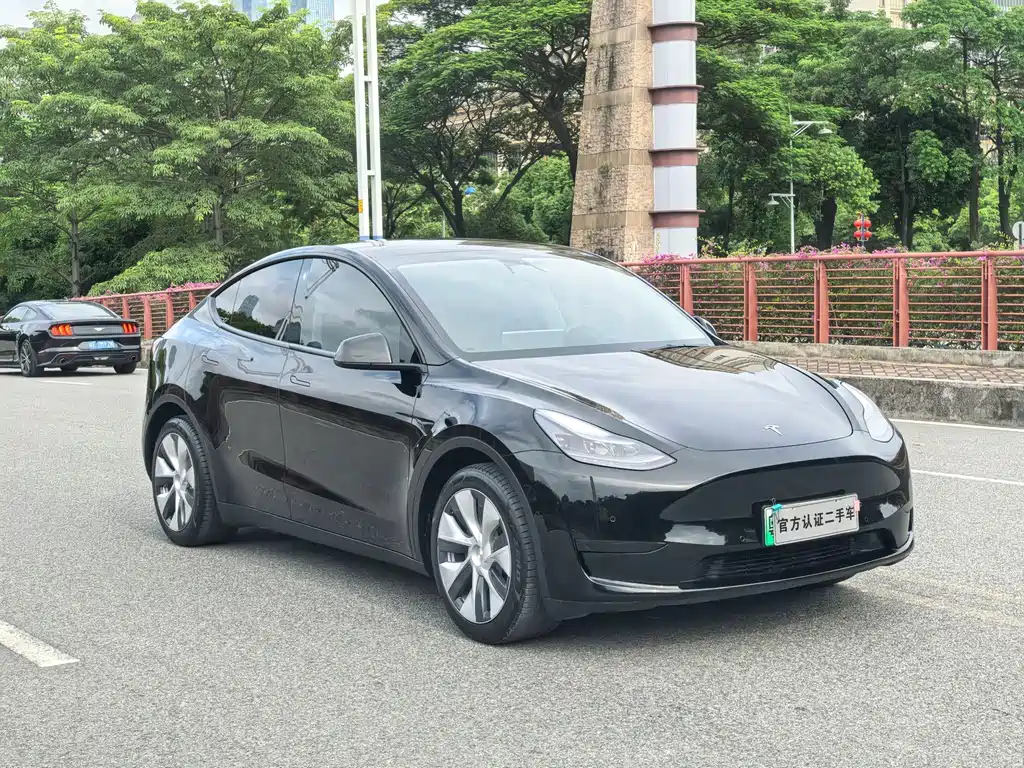 Tesla Model Y — фото 3