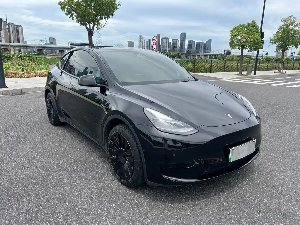Tesla Model Y — фото 3