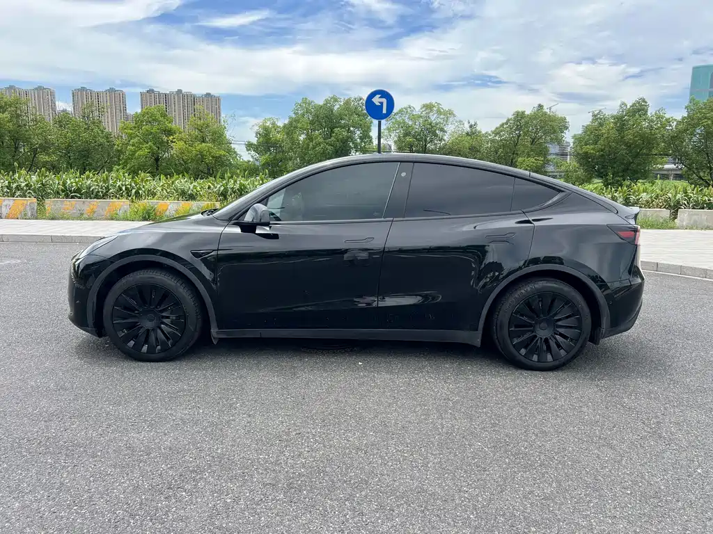Tesla Model Y — фото 4
