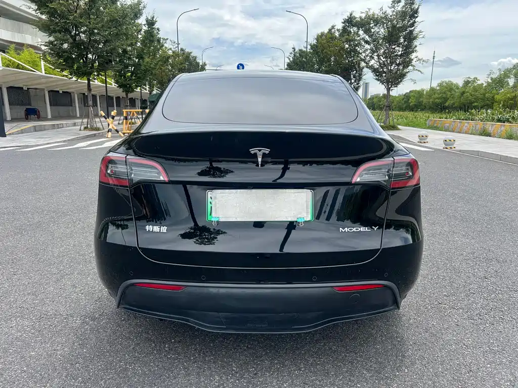 Tesla Model Y — фото 5