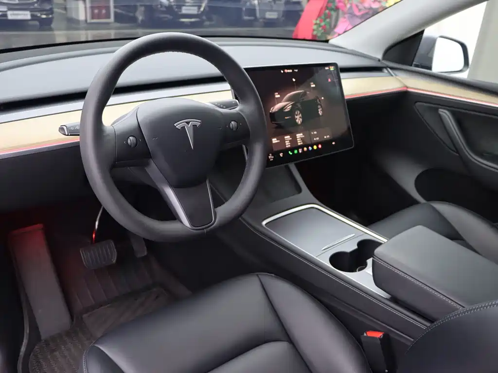 Tesla Model Y — фото 5