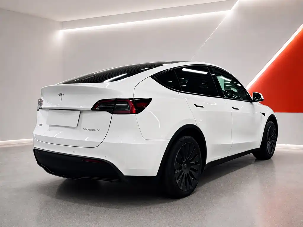 Tesla Model Y — фото 7