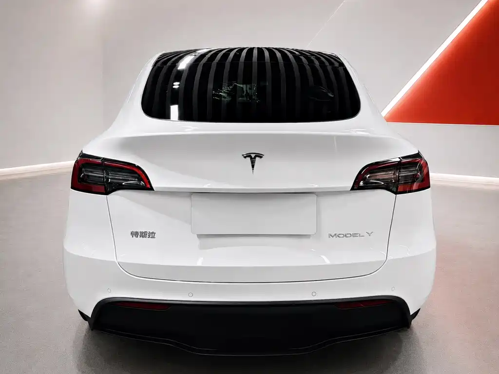 Tesla Model Y — фото 8